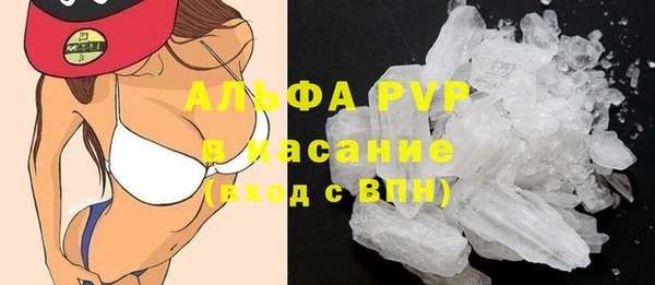 прущие грибы Дмитров