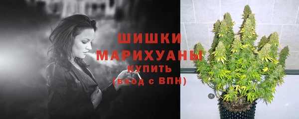 a pvp Дмитровск