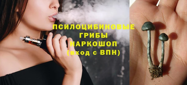 прущие грибы Дмитров