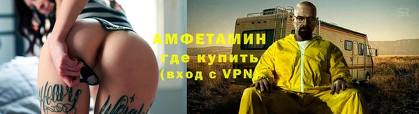 ПСИЛОЦИБИНОВЫЕ ГРИБЫ Дмитриев