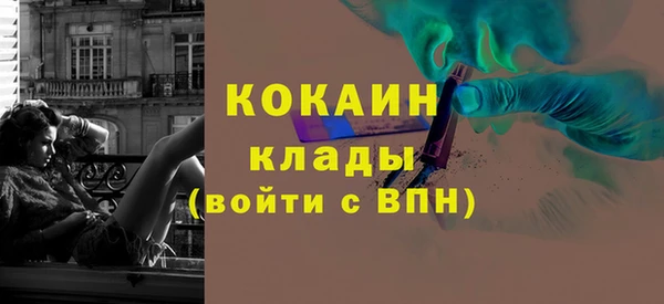 прущие грибы Дмитров