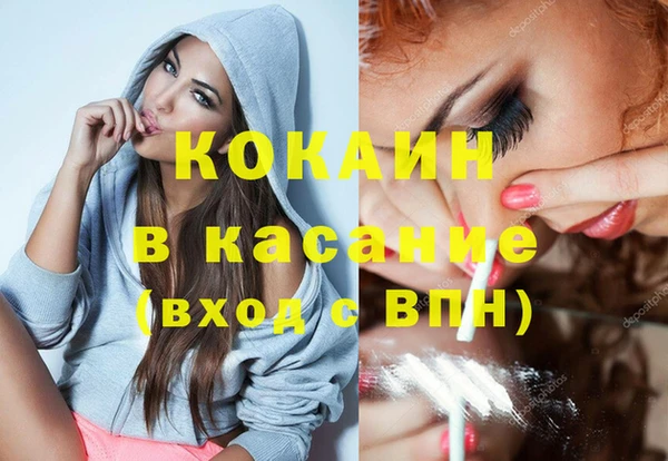 ПСИЛОЦИБИНОВЫЕ ГРИБЫ Дмитриев