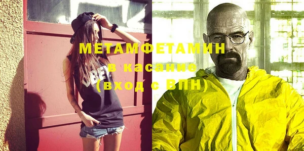 ПСИЛОЦИБИНОВЫЕ ГРИБЫ Дмитриев