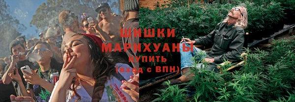 прущие грибы Дмитров