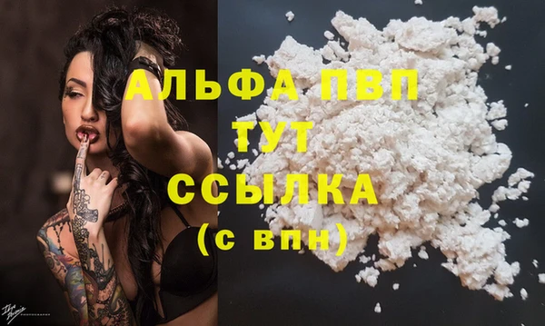 прущие грибы Дмитров