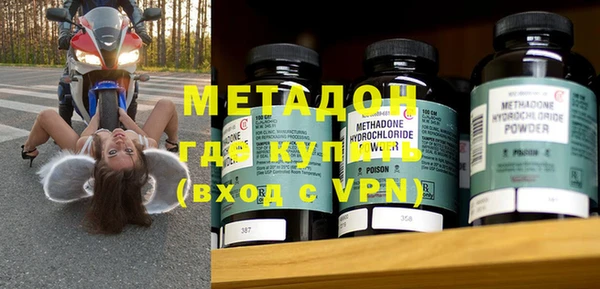 прущие грибы Дмитров