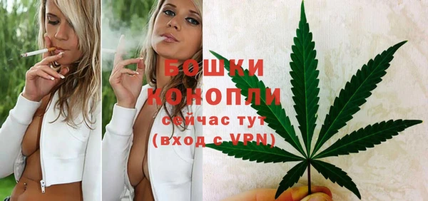 прущие грибы Дмитров