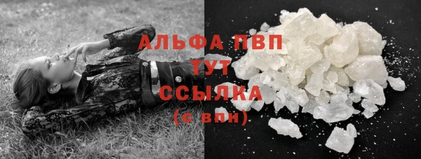 прущие грибы Дмитров