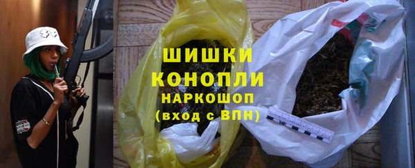 прущие грибы Дмитров