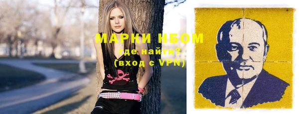 прущие грибы Дмитров