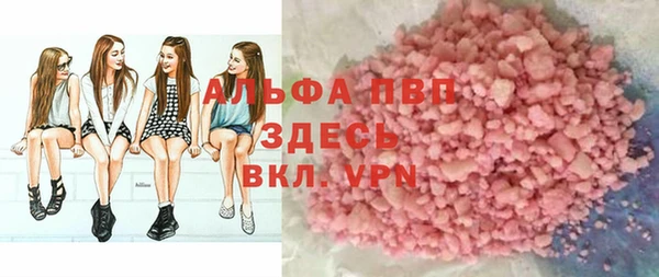 ПСИЛОЦИБИНОВЫЕ ГРИБЫ Дмитриев