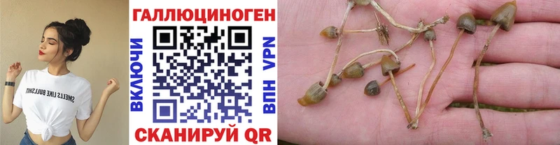 Галлюциногенные грибы MAGIC MUSHROOMS Шлиссельбург
